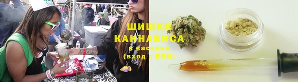 спайс Алзамай