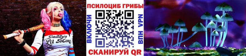 где продают наркотики  блэк спрут как войти  Галлюциногенные грибы прущие грибы  Неман 
